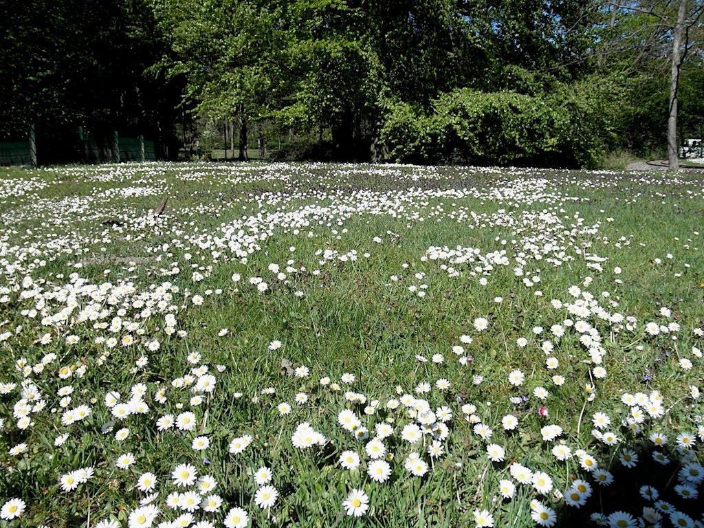 Stadtgarten